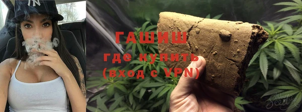прущие грибы Алзамай