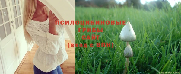 mix Абинск
