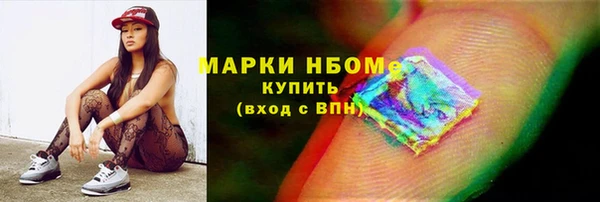 прущие грибы Алзамай