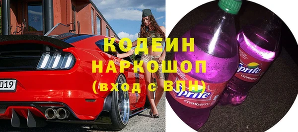 прущие грибы Алзамай