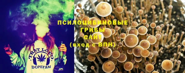 круглые Абаза