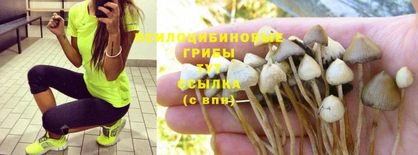 круглые Абаза