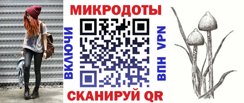 Галлюциногенные грибы Magic Shrooms Талдом